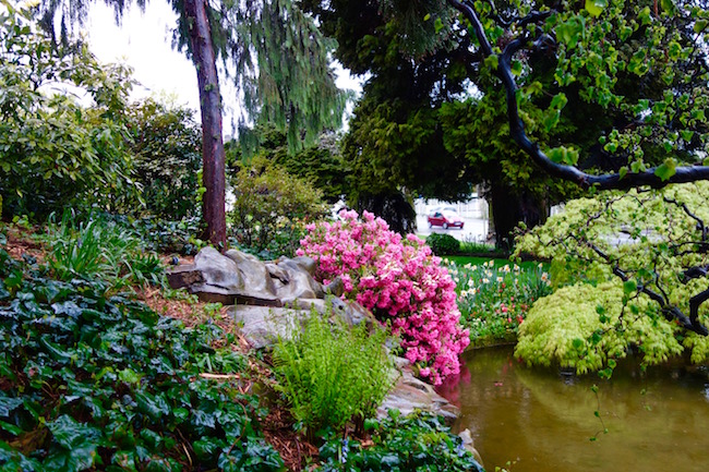 A little known tourist attraction at Evian les Bains, the Japanese Garden