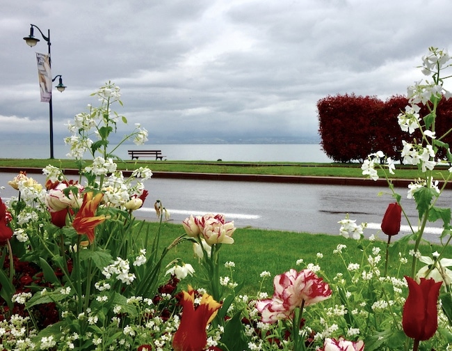 Things to do in Evian les Bains, stroll on the quai