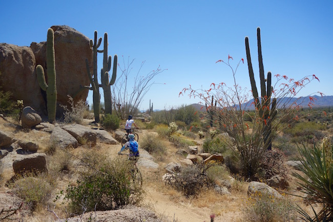 Scottsdale Mountain biking Brown's Ranch