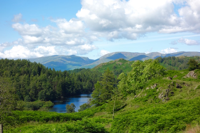 Things to do in the Lake District Tarn Hows