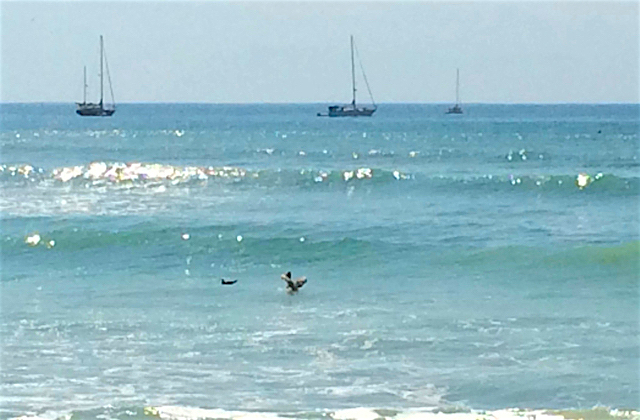 beach-at-punta-mita-near-puerto-vallarta