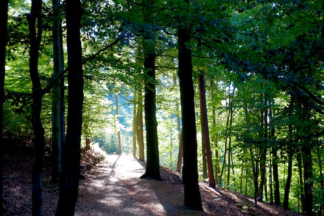 karlovy-vary-walks