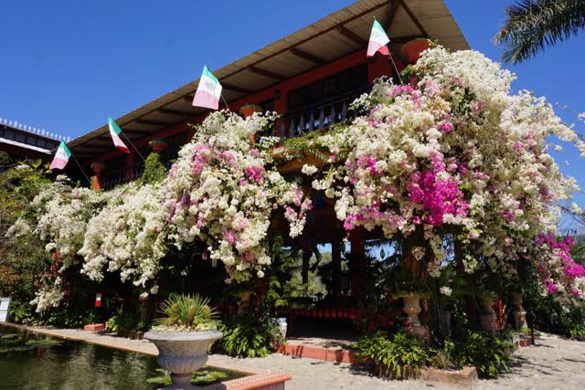 puerto-vallarta-bontanical-gardens