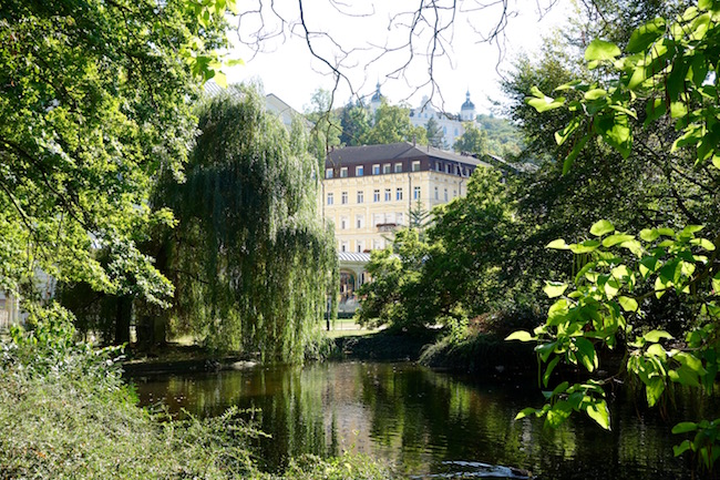 Dvorak Park with many green trees