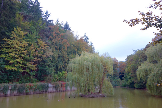 where-to-walk-in-karlovy-vary-little-versailles