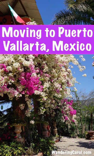Moving to Puerto Vallarta Mexico photo of flowers