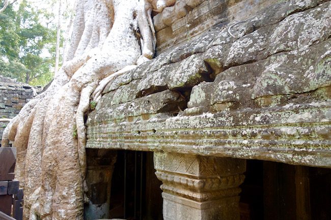 Tips for visiting Ta Prohm Ankgor Siem Reap