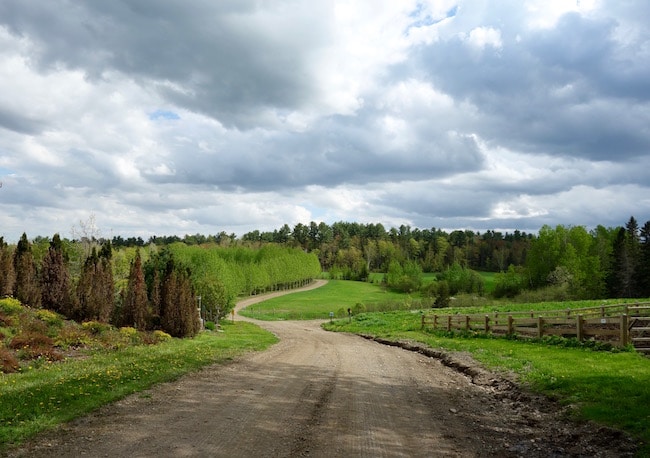 Explore Quebec Road Trip from Montreal to Quebec City