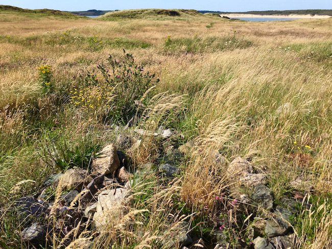 Holy well of St Dwynwen on Llandwyn Island