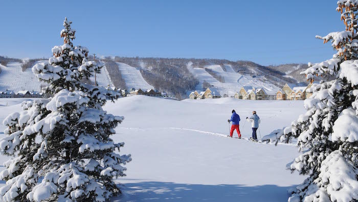 Winter Sports at Blue Mountain