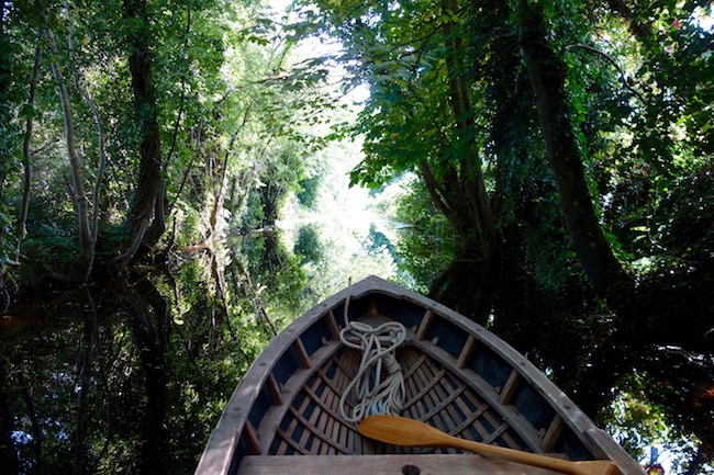 The front of a currach, a traditional Irish boat.