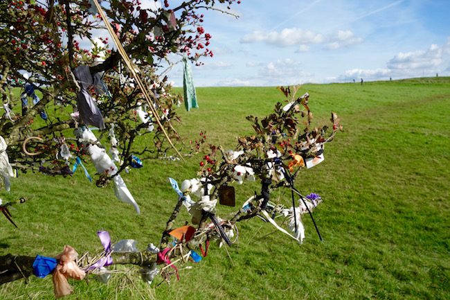 Fairy tree at Hill of Tara