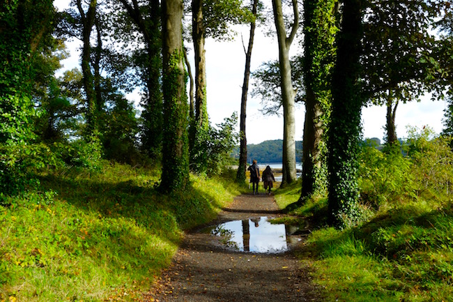 Game Of Thrones Ireland Winterfell Tour