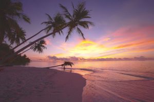 Sunset Fili, photo credit Visit Maldives
