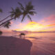 Sunset Fili, photo credit Visit Maldives