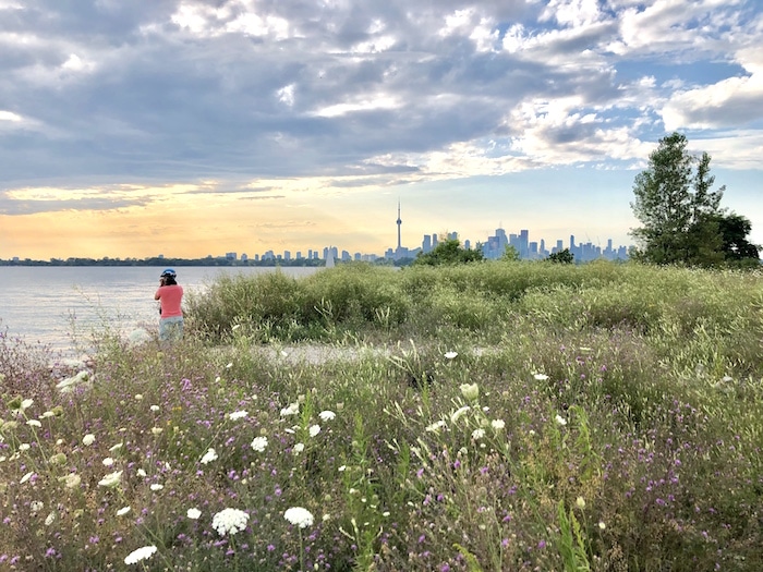 Toronto skyline with flowers