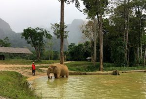 Elephant Hills luxury tented camp Thailand