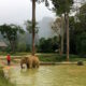 Elephant Hills luxury tented camp Thailand