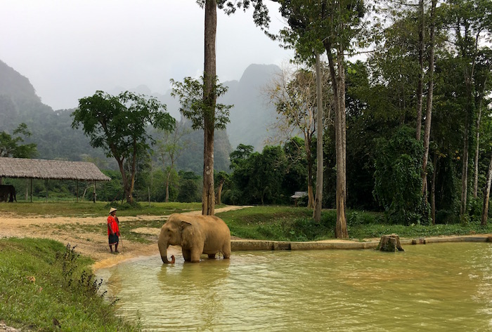 Elephant Hills tented camp in Thailand, an ethical animal experience