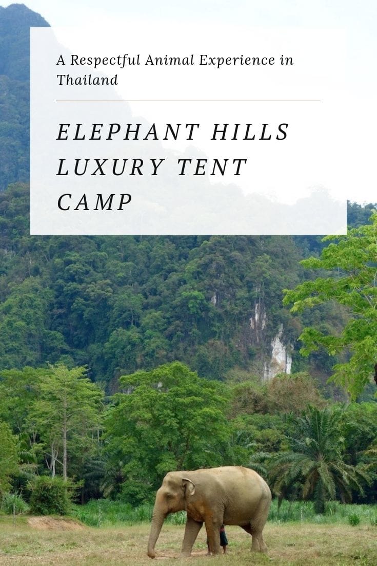 Elephant Hills tented camp in Thailand, an ethical animal experience