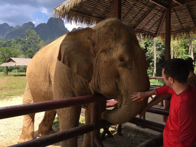 Elephant Hills tented camp in Thailand, an ethical animal experience