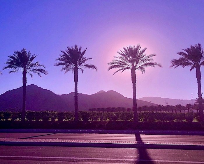 Twilight at El Paseo, El Paseo Gardens Palm Desert, Califor…