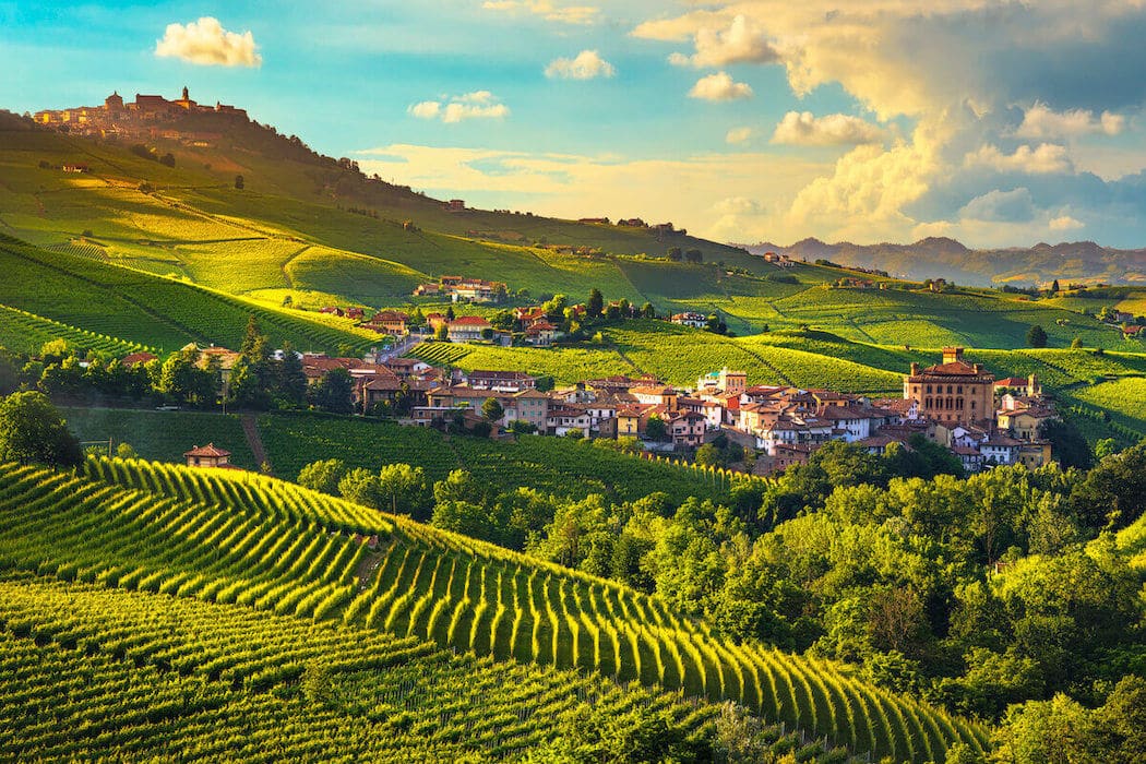 Vineyards in the Italian wine region of Piedmont