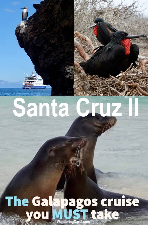 Galapagos cruise photo collage with seals, birds and cruise ship