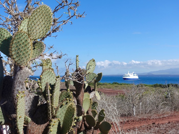 Rabida Island Galagpagos