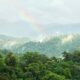Cloud forest, Mashpi Lodge review
