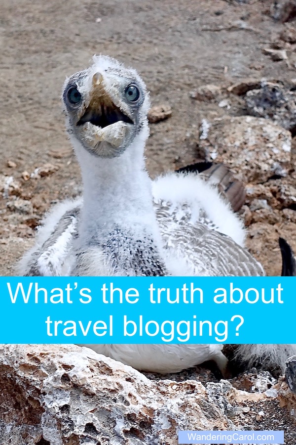 What is the truth about travel blogging? Are travel blogs useful? Honest? Here's what you need to know.