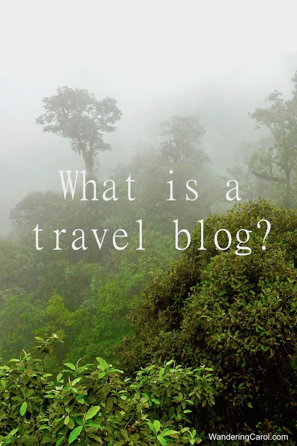 What is a travel blog and why are they important?