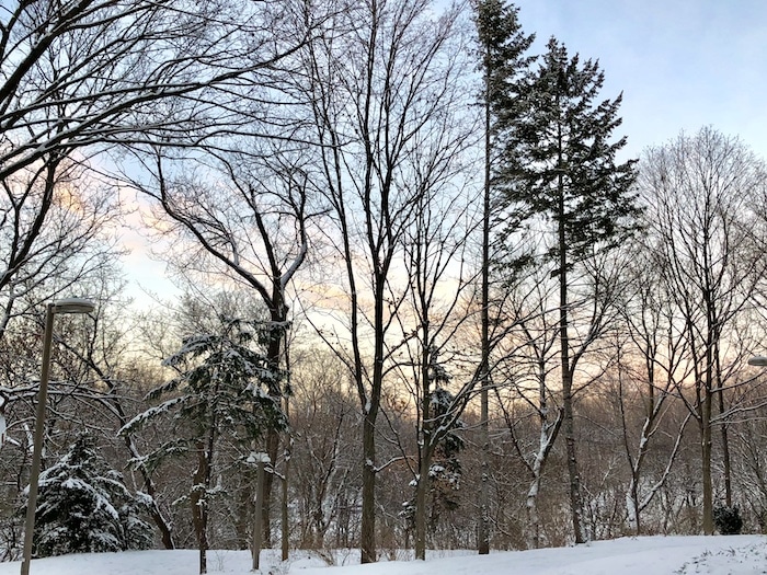 Aktivitäten in Toronto im Winter