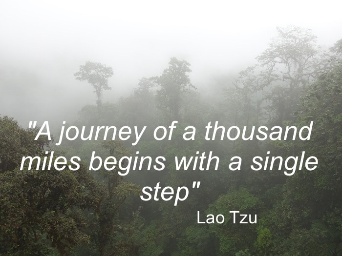 The greatest travel quotes include this one by Lao Tzu, "A journey of a thousand miles begins with a single step.