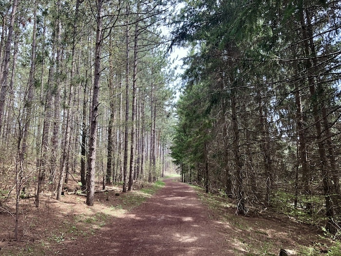 Hiking trail at Mono Cliffs Provincial Park in the forest