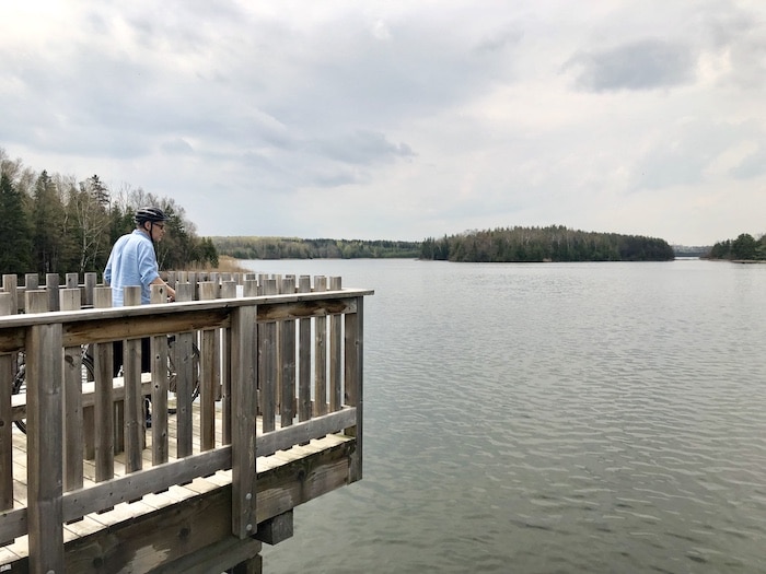 View of Island Lake from a wooden bridge with a cyclist