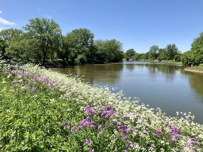 London Canada Thames River Parkway