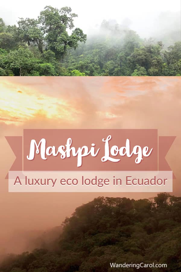 Sunset and rainforest images of Mashpi Lodge in Ecuador