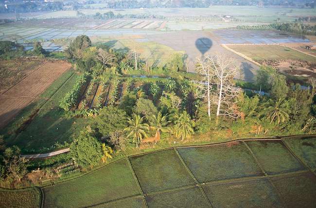 Fields around Chiang Mai Thailand