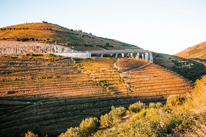 Vineyards clinging to steep slopes in the Douro Valley of Portugal