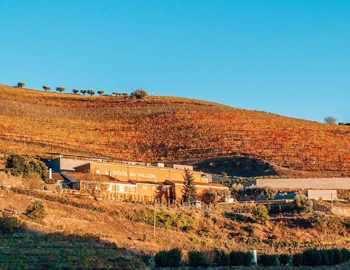 Winery near Porto in the Douro Valley