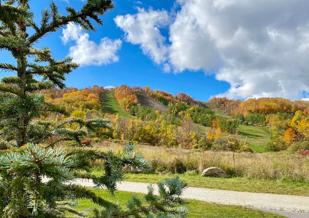 blue mountains near collingwood in the fall