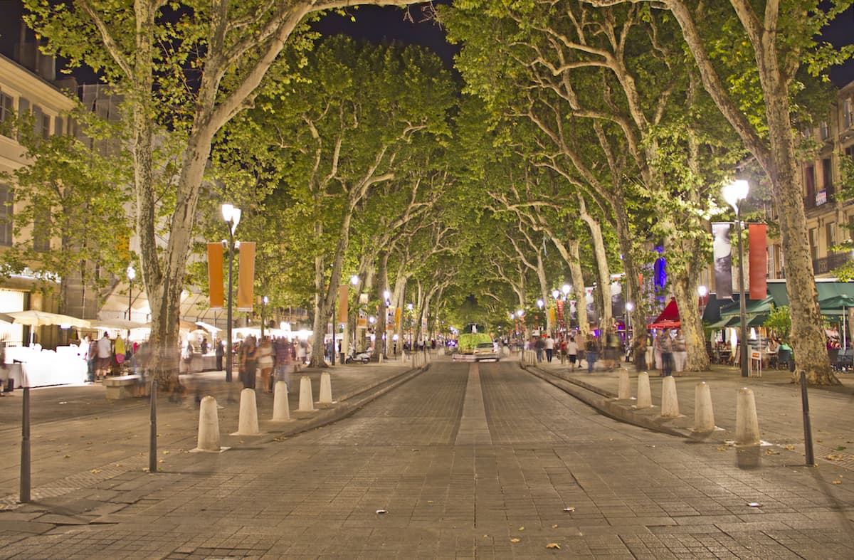 plane trees along the main street in Aix-en-Provence