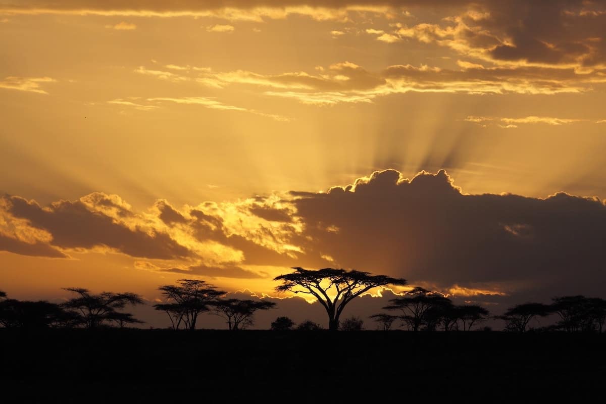 Amber colored sunset in South Africa.