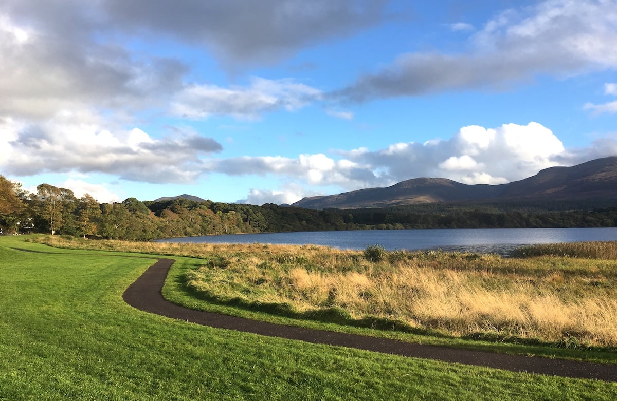 flat cycling trail in killarney national park