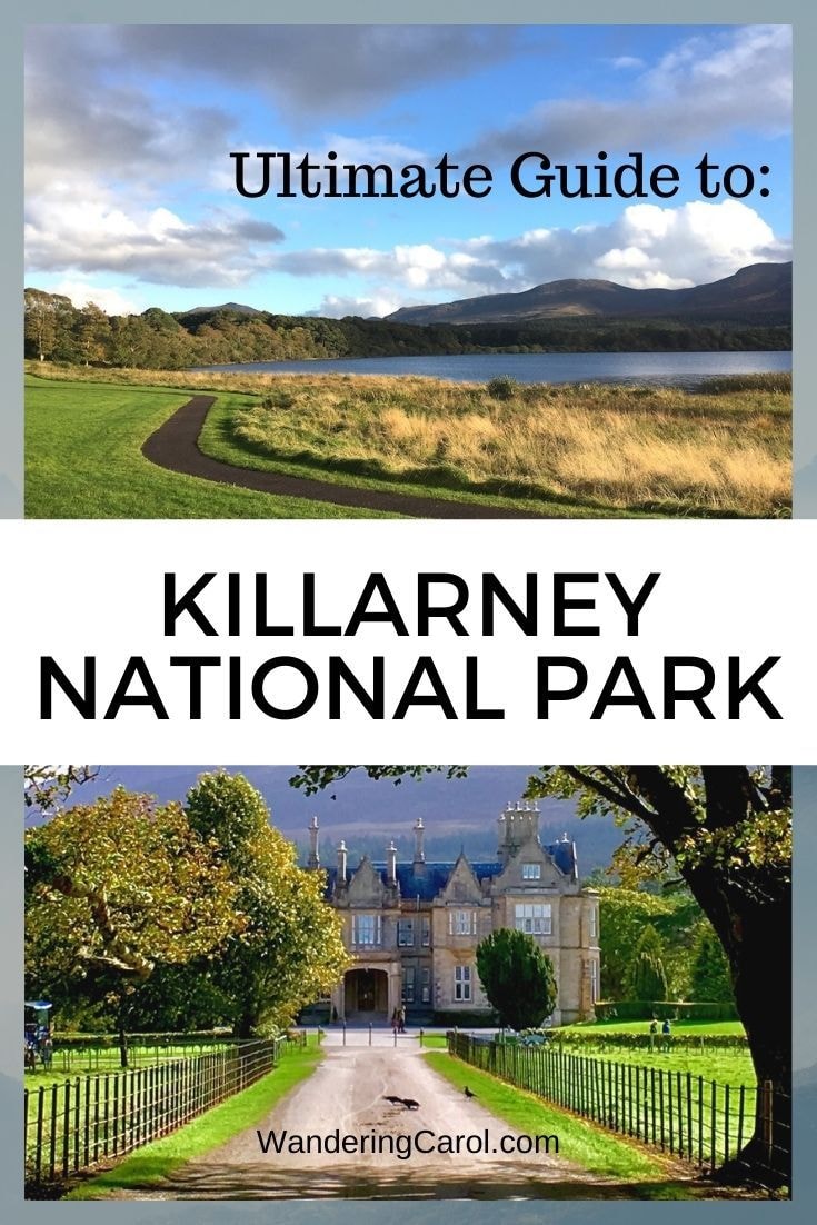 pinterest image of killarney national park