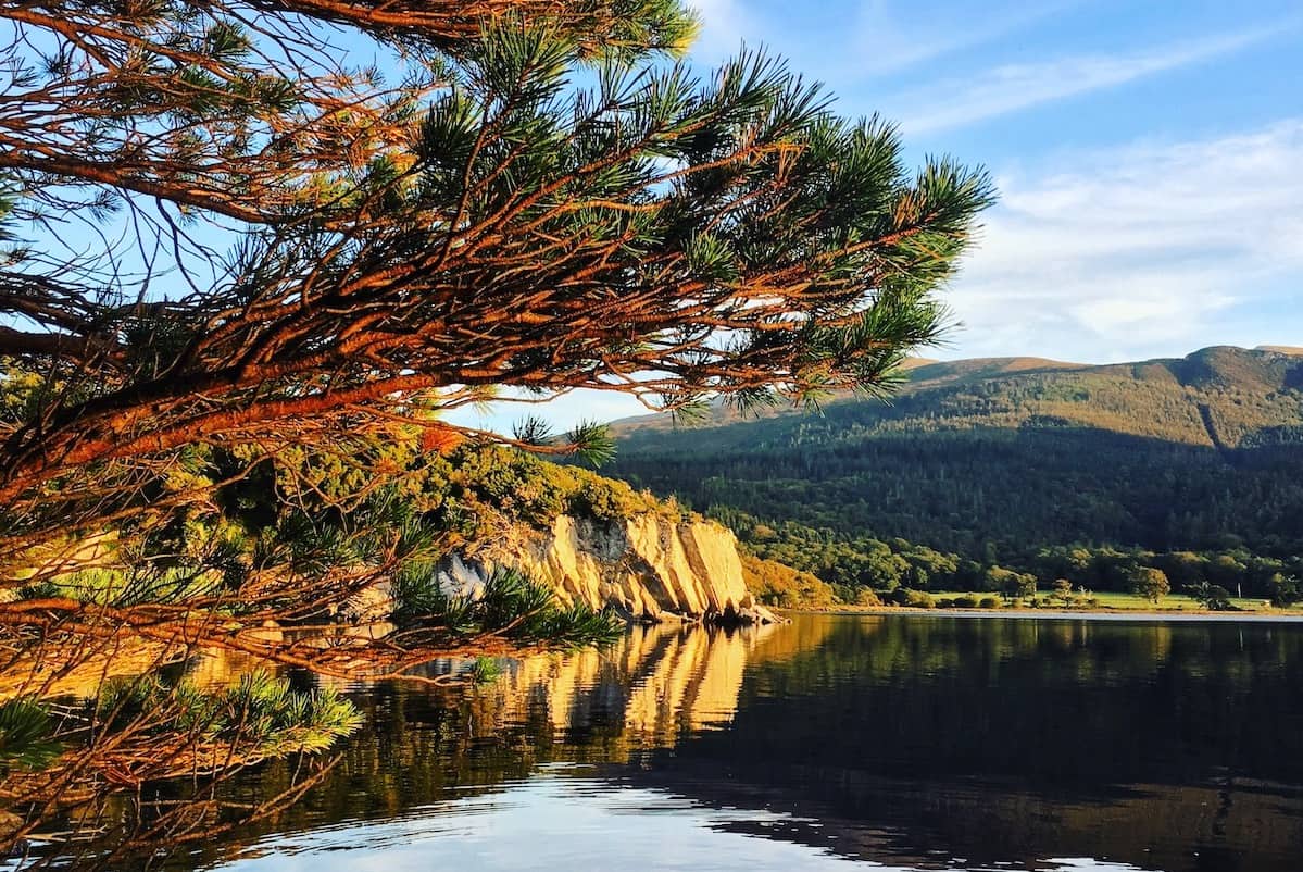 fall scene of forest and lake in killarney national park