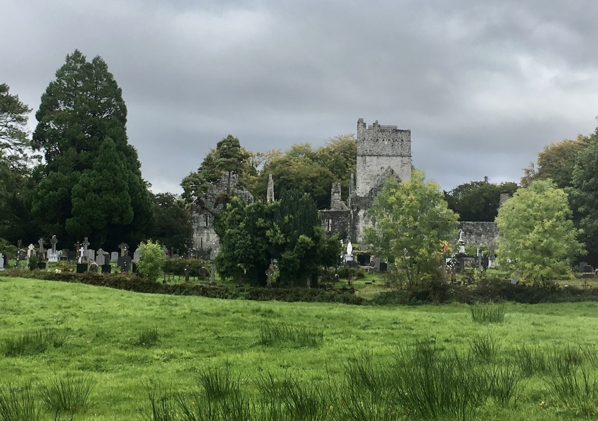 muckross abbey and graveyard