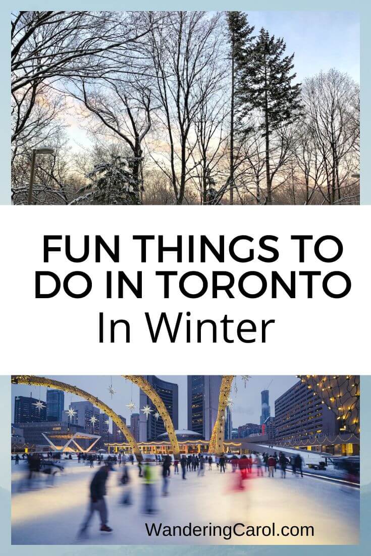 pinterest images of things to do in winter