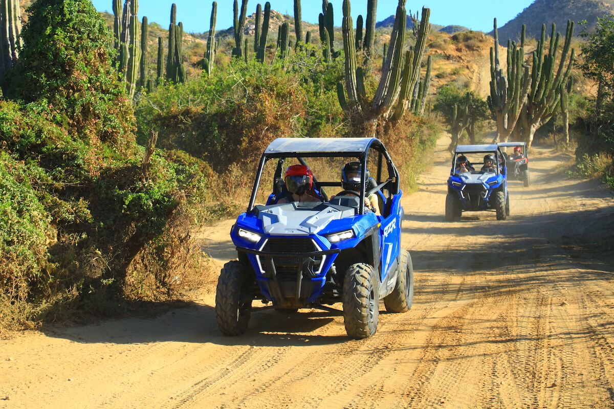 Three side by side ATVs with soaring cacti and a dusty trail